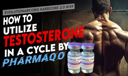 Testosterone