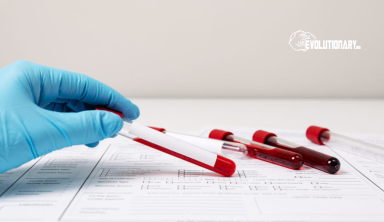 How supplements can help your bloodwork improve?