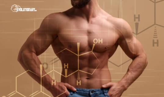 Best steroid cycles to boost libido and sexu@l fun by Para Pharma