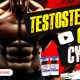 Testosterone
