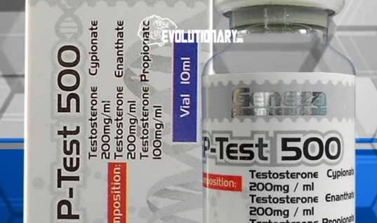Why I went blast and cruise for the past 10 years? by Geneza Pharma