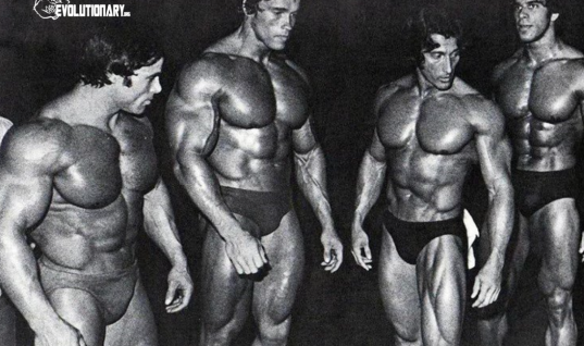 Big steroid cycles for non competitors by Euro Pharma