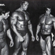 Big steroid cycles for non competitors by Euro Pharma