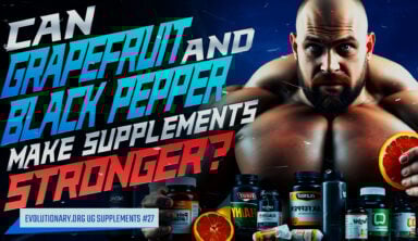 supplement
