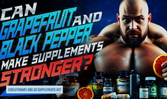 supplement