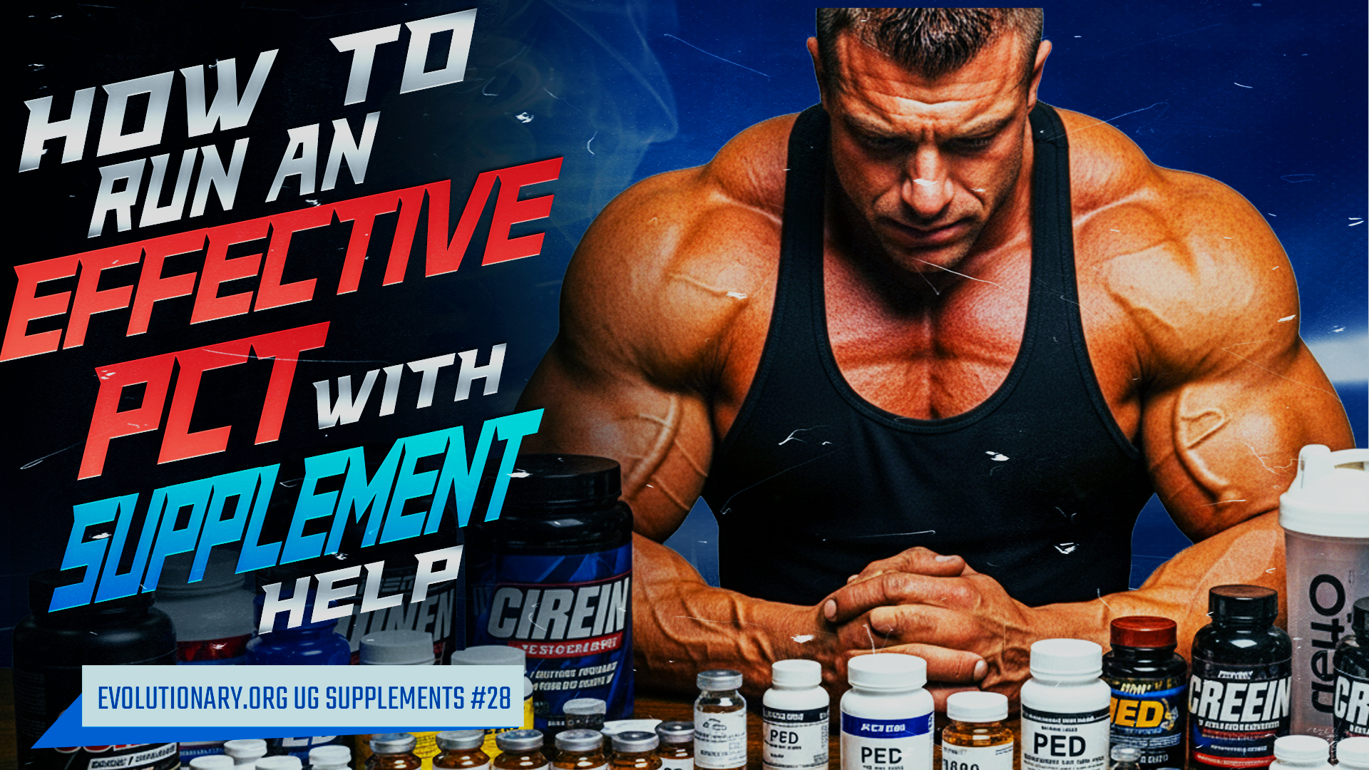 Evolutionary.org-UG-Supplements-28-How-to-run-an-effective-PCT-with-supplement-help.jpg