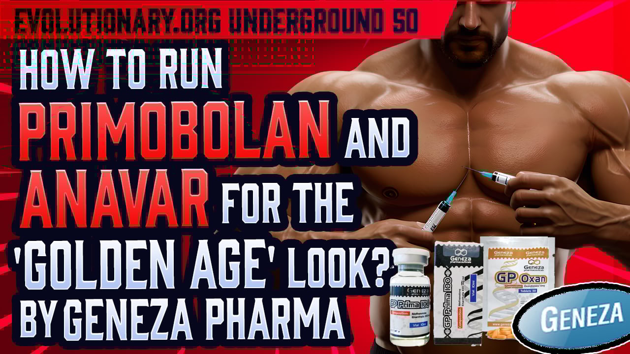 Evolutionary.org-Underground-50-How-to-run-Primobolan-and-Anavar-for-the-golden-age-look-by-Geneza-Pharma.jpg