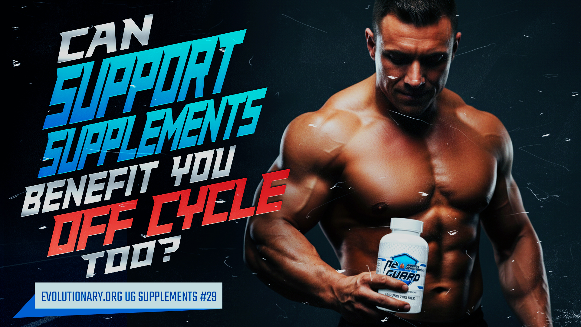 Evolutionary.org-UG-Supplements-29-Can-support-supplements-benefit-you-off-cycle-too.jpg